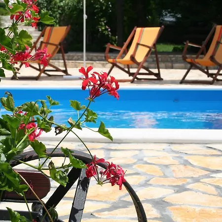 Petricic With Swimming Pool Daire