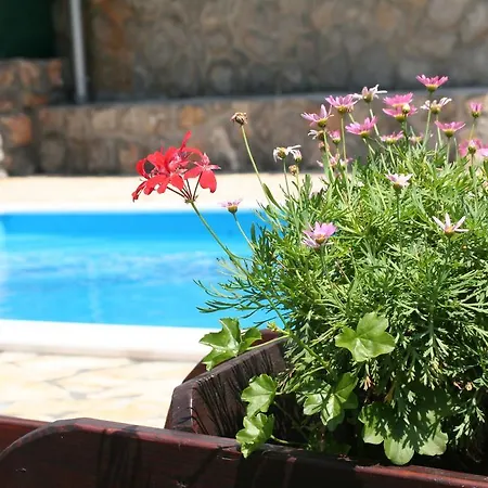 Apartman Petricic With Swimming Pool Ičići