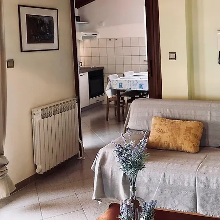 Appartement Petricic With Swimming Pool *