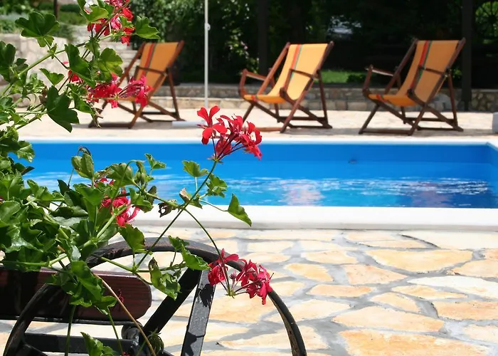 Petricic With Swimming Pool Appartement
