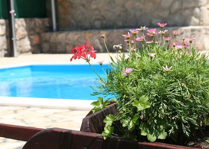 Appartement Petricic With Swimming Pool Ičići