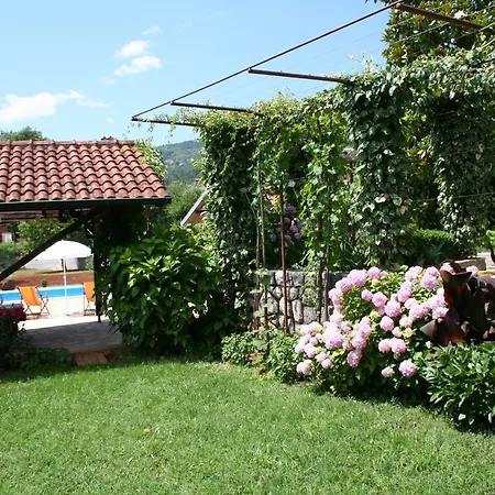 Apartment Petricic With Swimming Pool