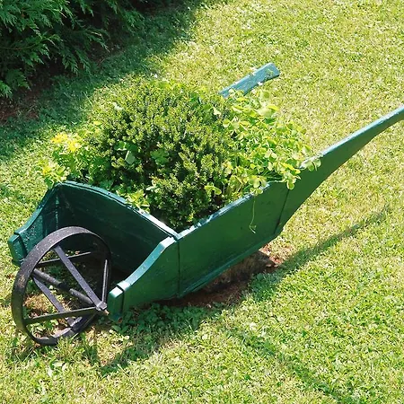 Petricic With Swimming Pool Apartment Icici