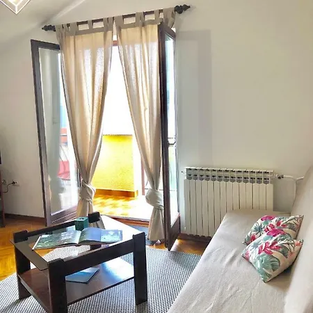 Apartment Petricic With Swimming Pool Icici