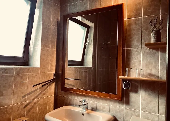 Petricic With Swimming Pool Apartament *